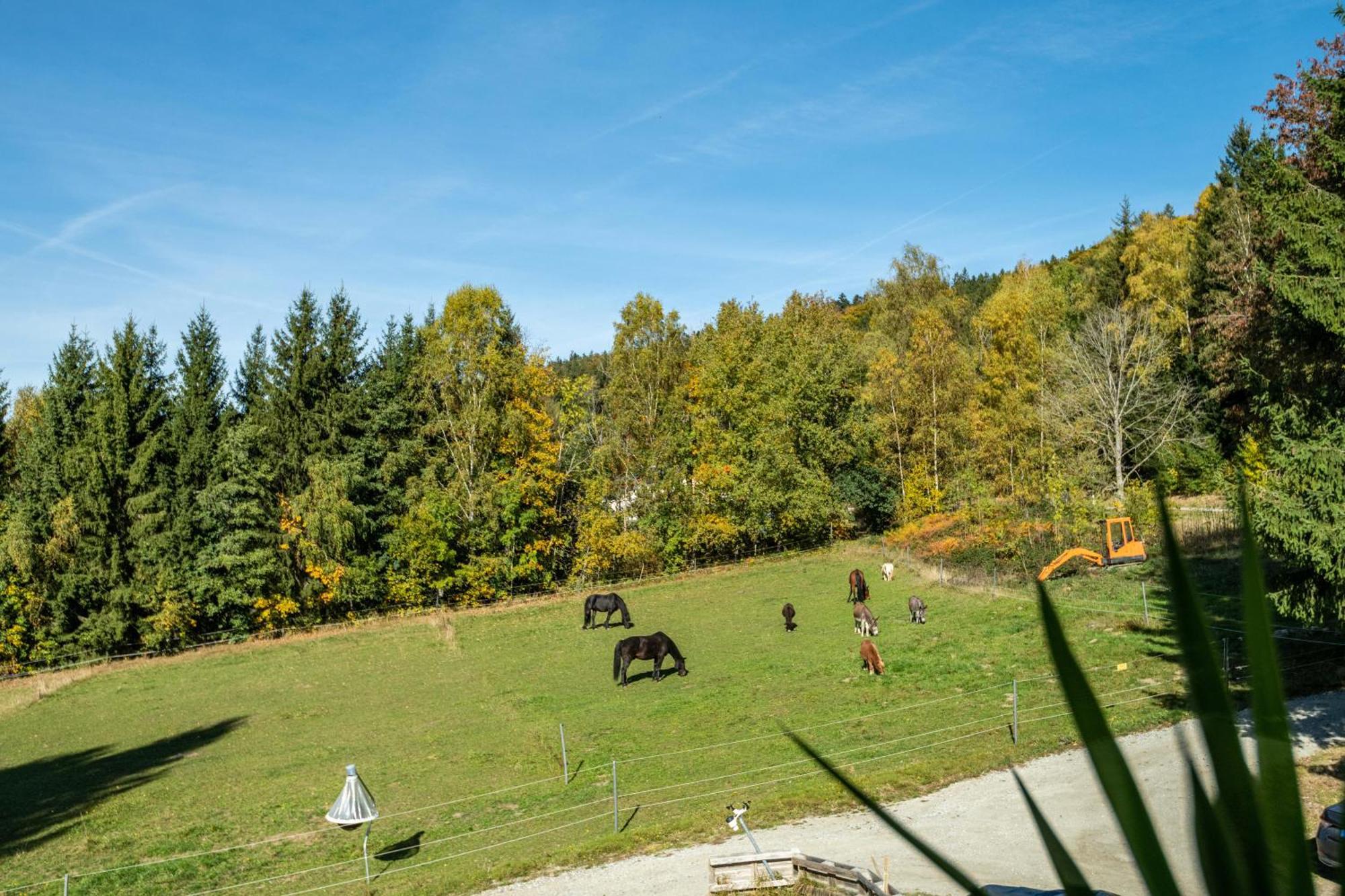 Fuchswiese Thurmansbang Esterno foto